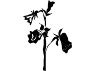 Sticker Custom Preview Image #104156 Plants Flowers Flowers Flowers072