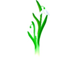 Sticker Custom Preview Image #104166 Plants Flowers Flowers Flowers082