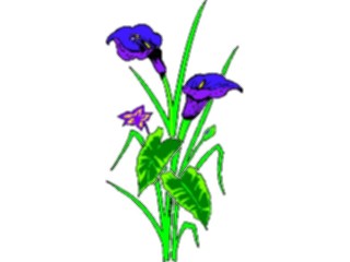 Sticker Custom Preview Image #104179 Plants Flowers Flowers Flowers095