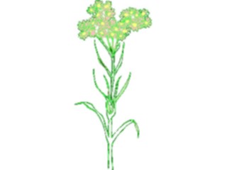 Sticker Custom Preview Image #104186 Plants Flowers Flowers Flowers102