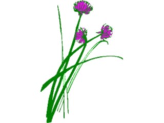 Sticker Custom Preview Image #104188 Plants Flowers Flowers Flowers104