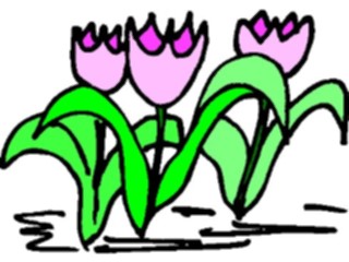 Sticker Custom Preview Image #104194 Plants Flowers Flowers Flowers110