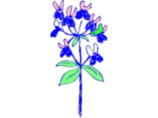 Sticker Custom Preview Image #104202 Plants Flowers Flowers Flowers118