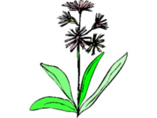 Sticker Custom Preview Image #104204 Plants Flowers Flowers Flowers120