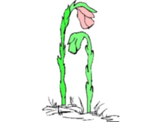 Sticker Custom Preview Image #104206 Plants Flowers Flowers Flowers122