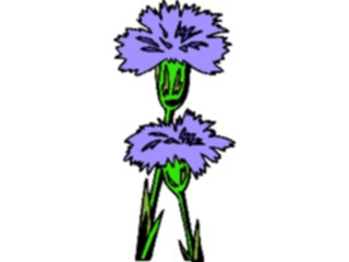 Sticker Custom Preview Image #104215 Plants Flowers Flowers Flowers131