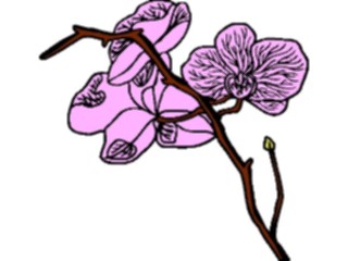 Sticker Custom Preview Image #104217 Plants Flowers Flowers Flowers133