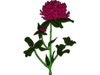 Sticker Custom Preview Image #104220 Plants Flowers Flowers Flowers136