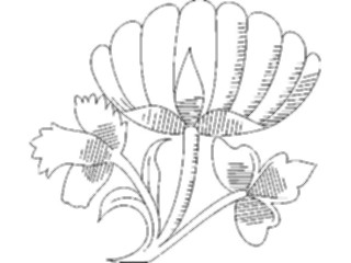 Sticker Custom Preview Image #104226 Plants Flowers Flowers Flowers142