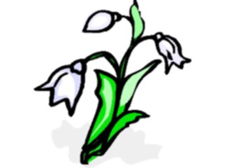 Sticker Custom Preview Image #104231 Plants Flowers Flowers Flowers147