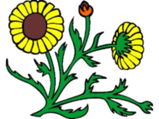 Sticker Custom Preview Image #104234 Plants Flowers Flowers Flowers150