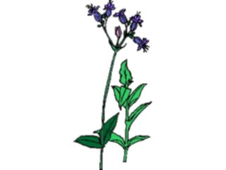 Sticker Custom Preview Image #104267 Plants Flowers Flowers Flowers183