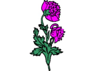 Sticker Custom Preview Image #104276 Plants Flowers Flowers Flowers192