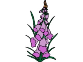 Sticker Custom Preview Image #104283 Plants Flowers Flowers Flowers199