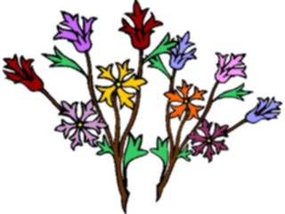 Sticker Custom Preview Image #104288 Plants Flowers Flowers Flowers204