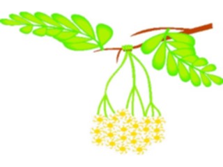 Sticker Custom Preview Image #104295 Plants Flowers Flowers Flowers211