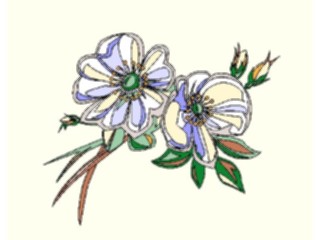 Sticker Custom Preview Image #104302 Plants Flowers Flowers Flowers218