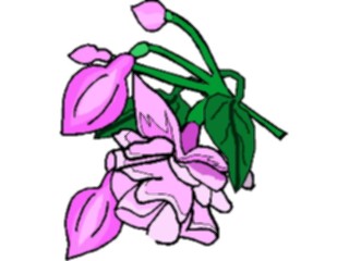 Sticker Custom Preview Image #104316 Plants Flowers Flowers Flowers232