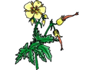 Sticker Custom Preview Image #104320 Plants Flowers Flowers Flowers236