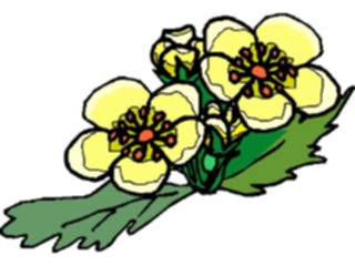 Sticker Custom Preview Image #104321 Plants Flowers Flowers Flowers237
