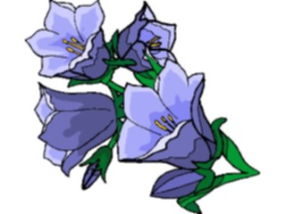 Sticker Custom Preview Image #104322 Plants Flowers Flowers Flowers238