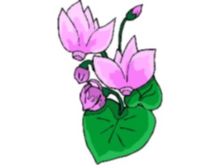 Sticker Custom Preview Image #104325 Plants Flowers Flowers Flowers241