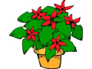 Sticker Custom Preview Image #104335 Plants Flowers Flowers Flowers251