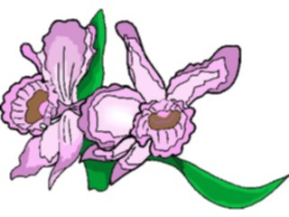 Sticker Custom Preview Image #104336 Plants Flowers Flowers Flowers252