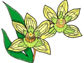 Sticker Custom Preview Image #104337 Plants Flowers Flowers Flowers253