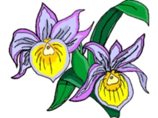 Sticker Custom Preview Image #104340 Plants Flowers Flowers Flowers256