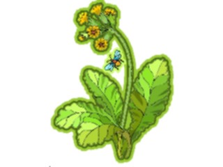 Sticker Custom Preview Image #104344 Plants Flowers Flowers Flowers260
