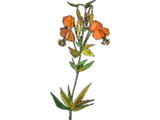 Sticker Custom Preview Image #104349 Plants Flowers Flowers Flowers265