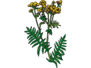 Sticker Custom Preview Image #104351 Plants Flowers Flowers Flowers267