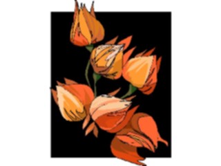 Sticker Custom Preview Image #104354 Plants Flowers Flowers Flowers270