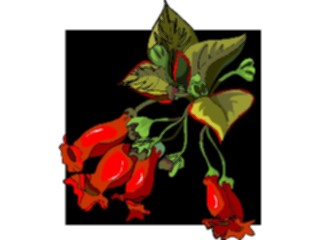 Sticker Custom Preview Image #104355 Plants Flowers Flowers Flowers271