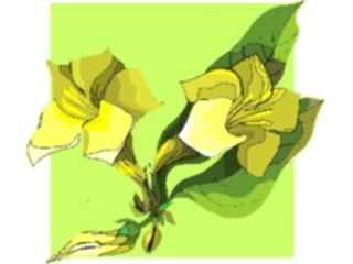 Sticker Custom Preview Image #104357 Plants Flowers Flowers Flowers273