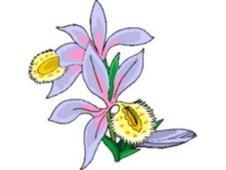 Sticker Custom Preview Image #104370 Plants Flowers Flowers Flowers286