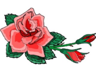 Sticker Custom Preview Image #104372 Plants Flowers Flowers Flowers288