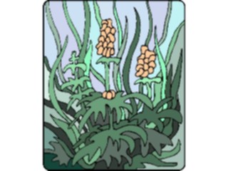 Sticker Custom Preview Image #104376 Plants Flowers Flowers Flowers292