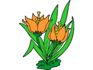 Sticker Custom Preview Image #104397 Plants Flowers Flowers Flowers313