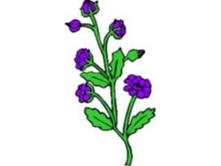 Sticker Custom Preview Image #104400 Plants Flowers Flowers Flowers316