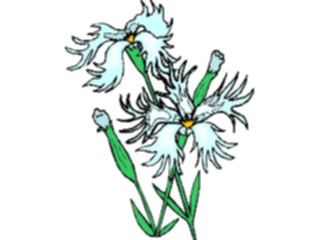 Sticker Custom Preview Image #104407 Plants Flowers Flowers Flowers323