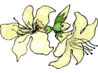 Sticker Custom Preview Image #104408 Plants Flowers Flowers Flowers324