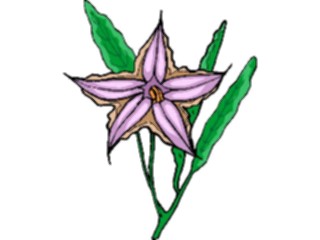 Sticker Custom Preview Image #104409 Plants Flowers Flowers Flowers325