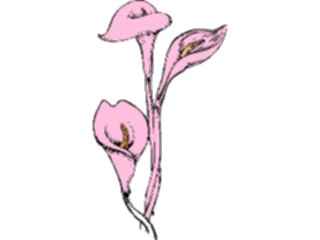 Sticker Custom Preview Image #104412 Plants Flowers Flowers Flowers328