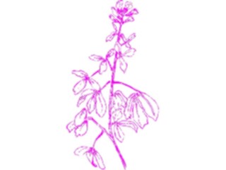 Sticker Custom Preview Image #104415 Plants Flowers Flowers Flowers331