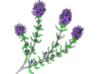 Sticker Custom Preview Image #104416 Plants Flowers Flowers Flowers332