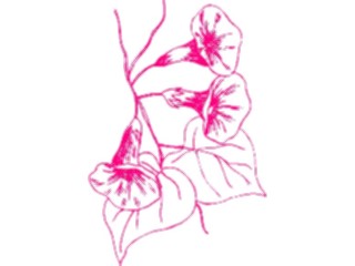 Sticker Custom Preview Image #104417 Plants Flowers Flowers Flowers333