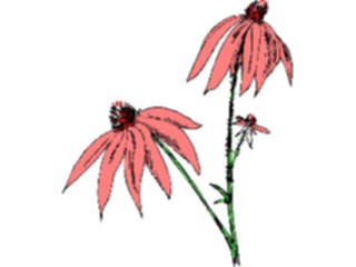 Sticker Custom Preview Image #104421 Plants Flowers Flowers Flowers337