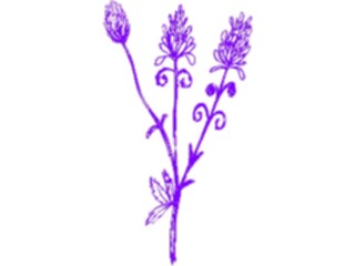 Sticker Custom Preview Image #104422 Plants Flowers Flowers Flowers338